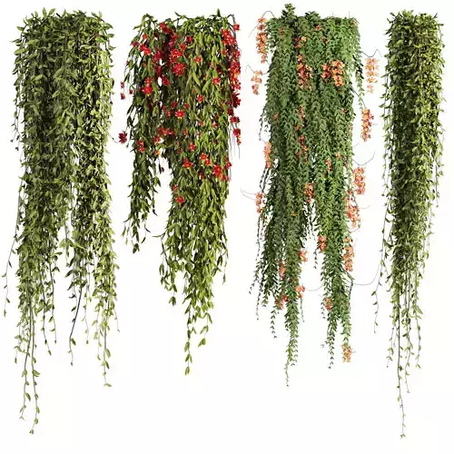 ivy plants with flowers