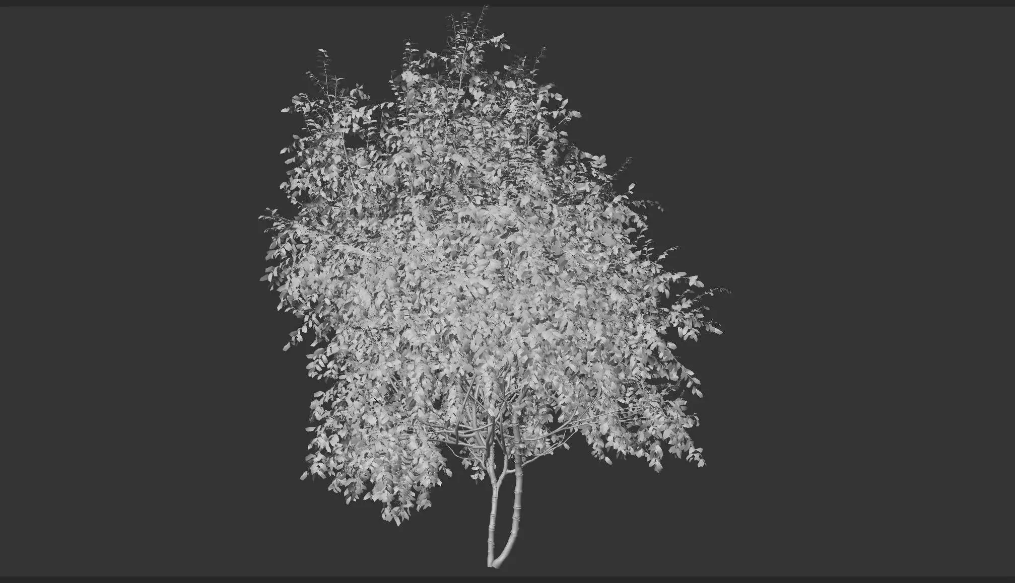 High quality Cherry Tree 01 Summer 3D model_5