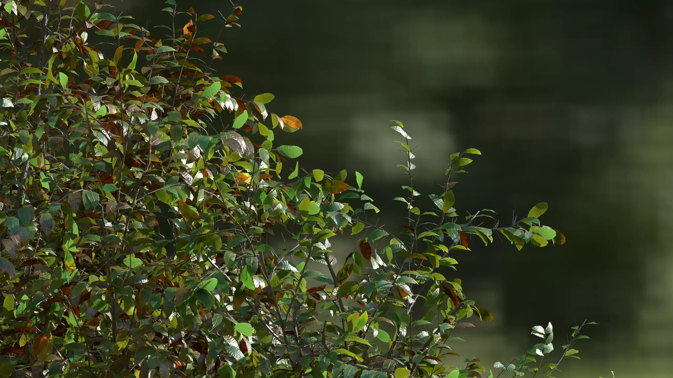 High quality Cherry Tree 01 Summer 3D model_0