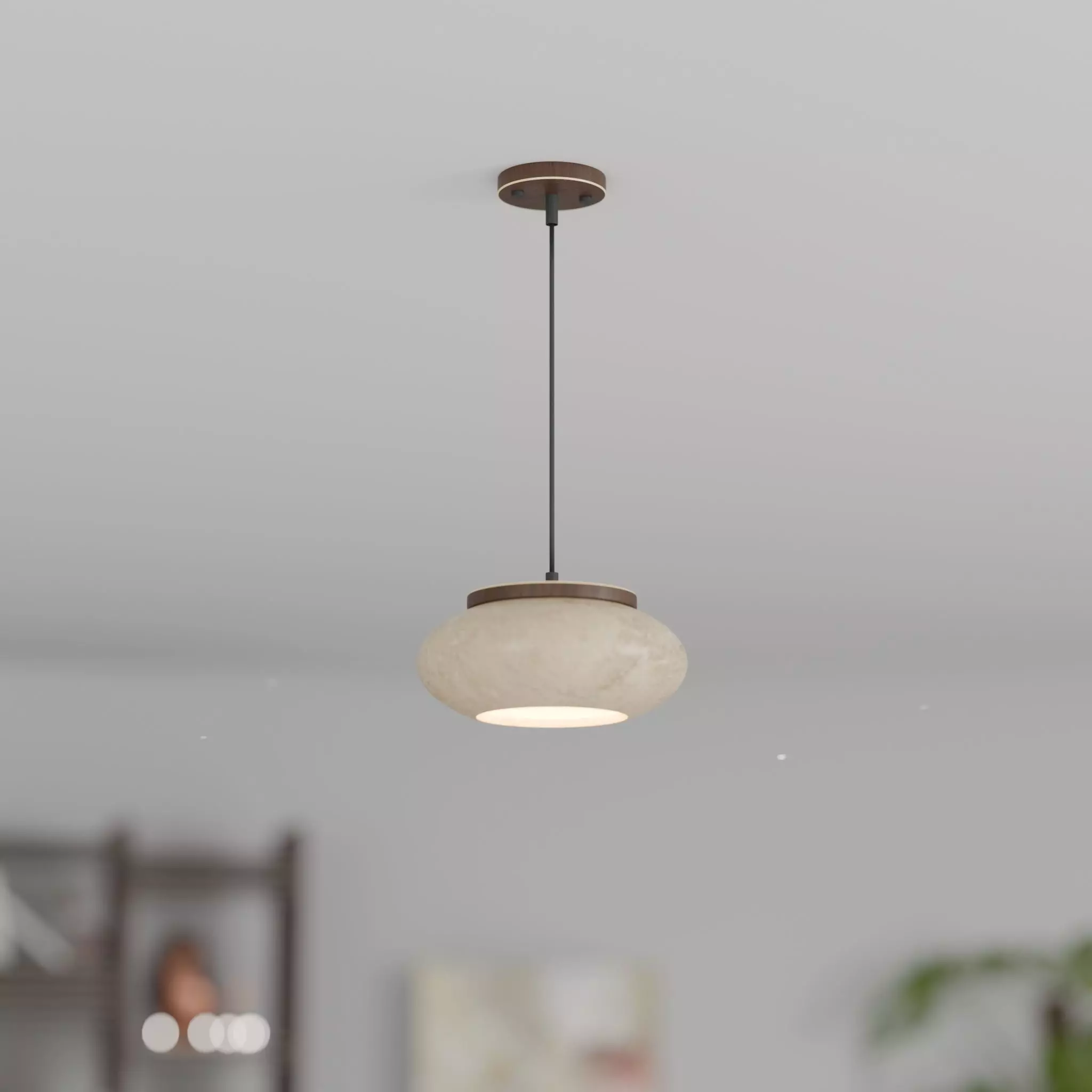 Pendant-Light-03 3D model_0