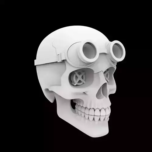 Steampunk Skull With Goggles 3D Print Model