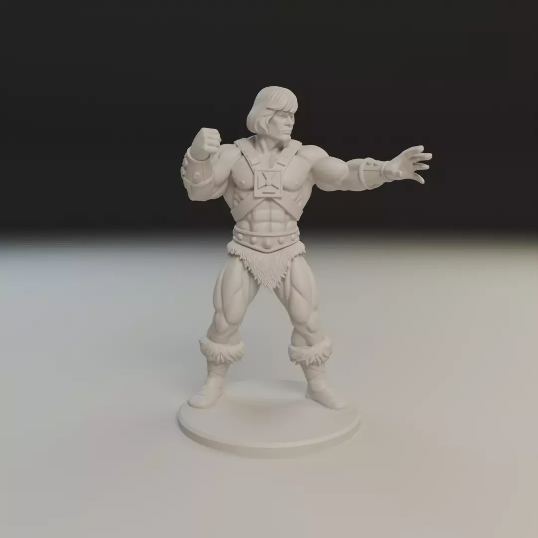 he man 3D print model_11