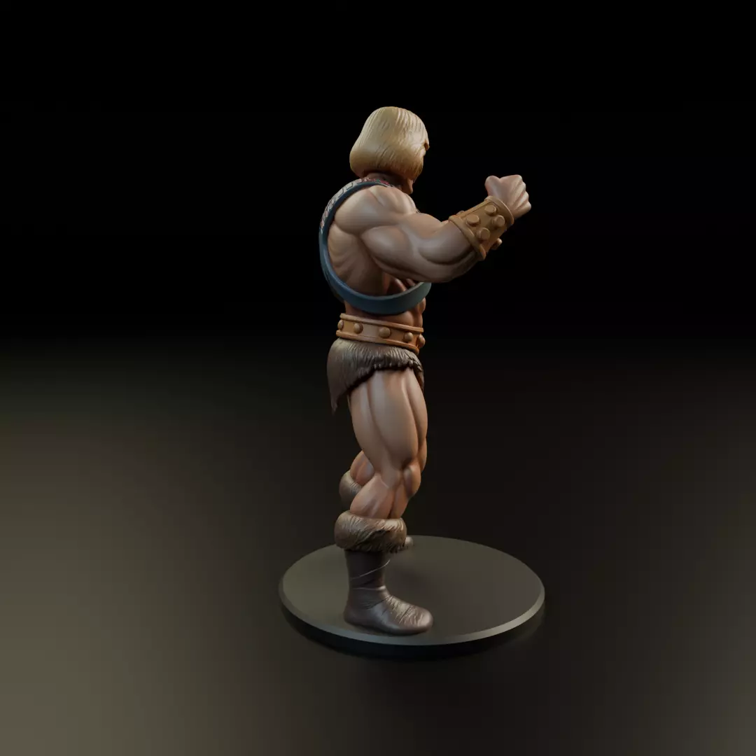 he man 3D print model_14