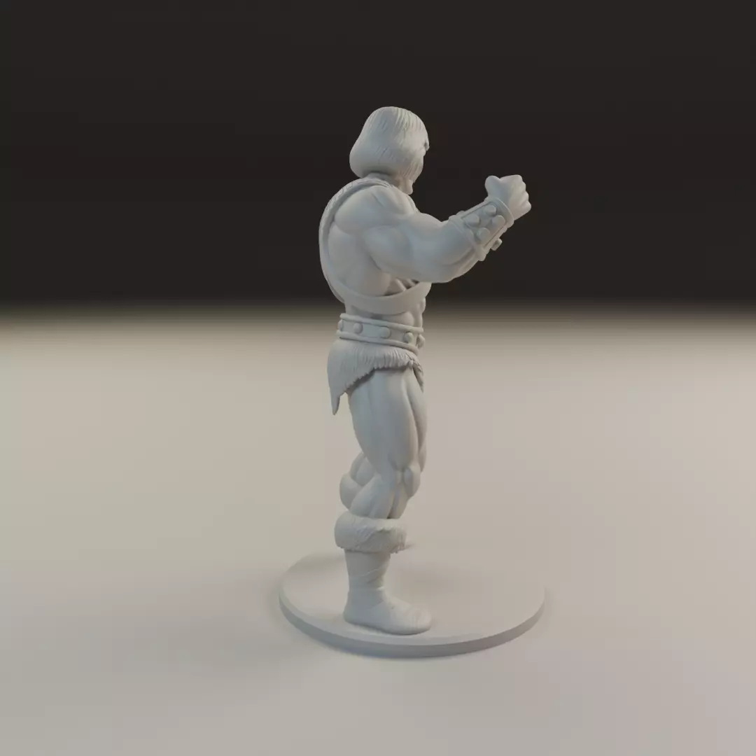 he man 3D print model_13
