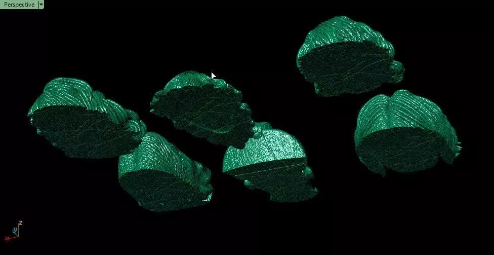 Old faces 3D print model_4