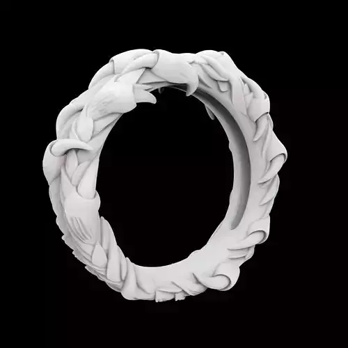 Dragon Claw Ring 3D Print Model
