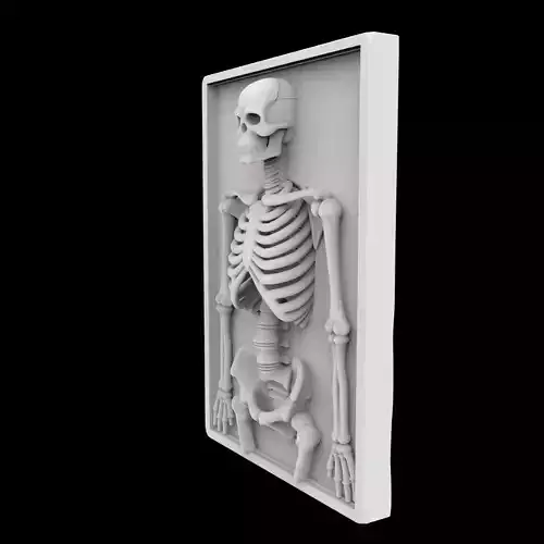 Skeleton Wall Relief 3D Print Model