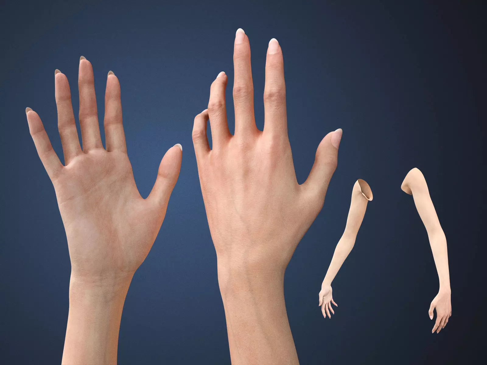 Realistic Female Arms - Real-Time Edition Low-poly 3D model