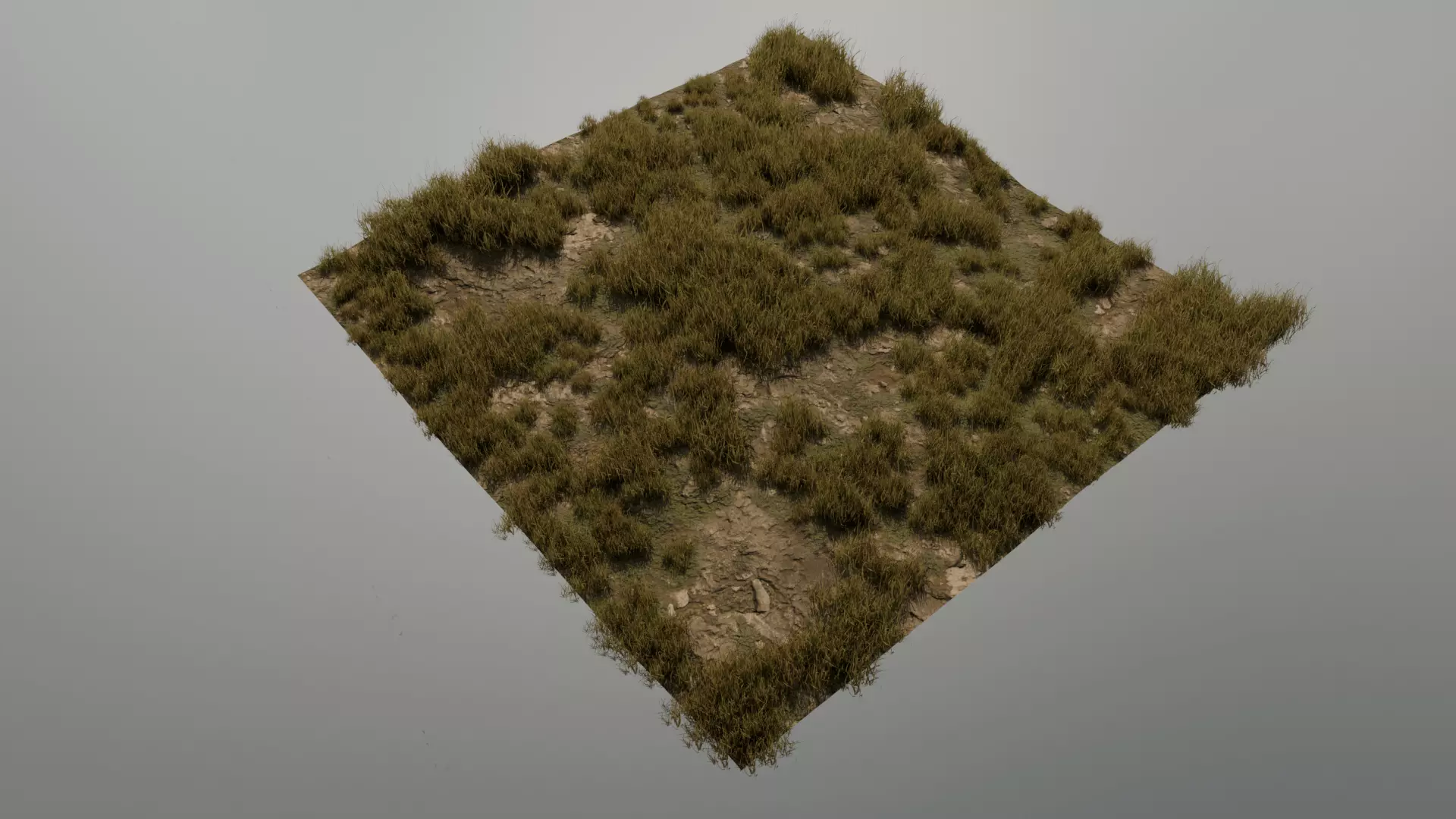 Grass Field Low-poly 3D model_0
