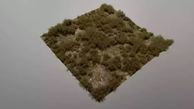 Grass Field Low-poly 3D model