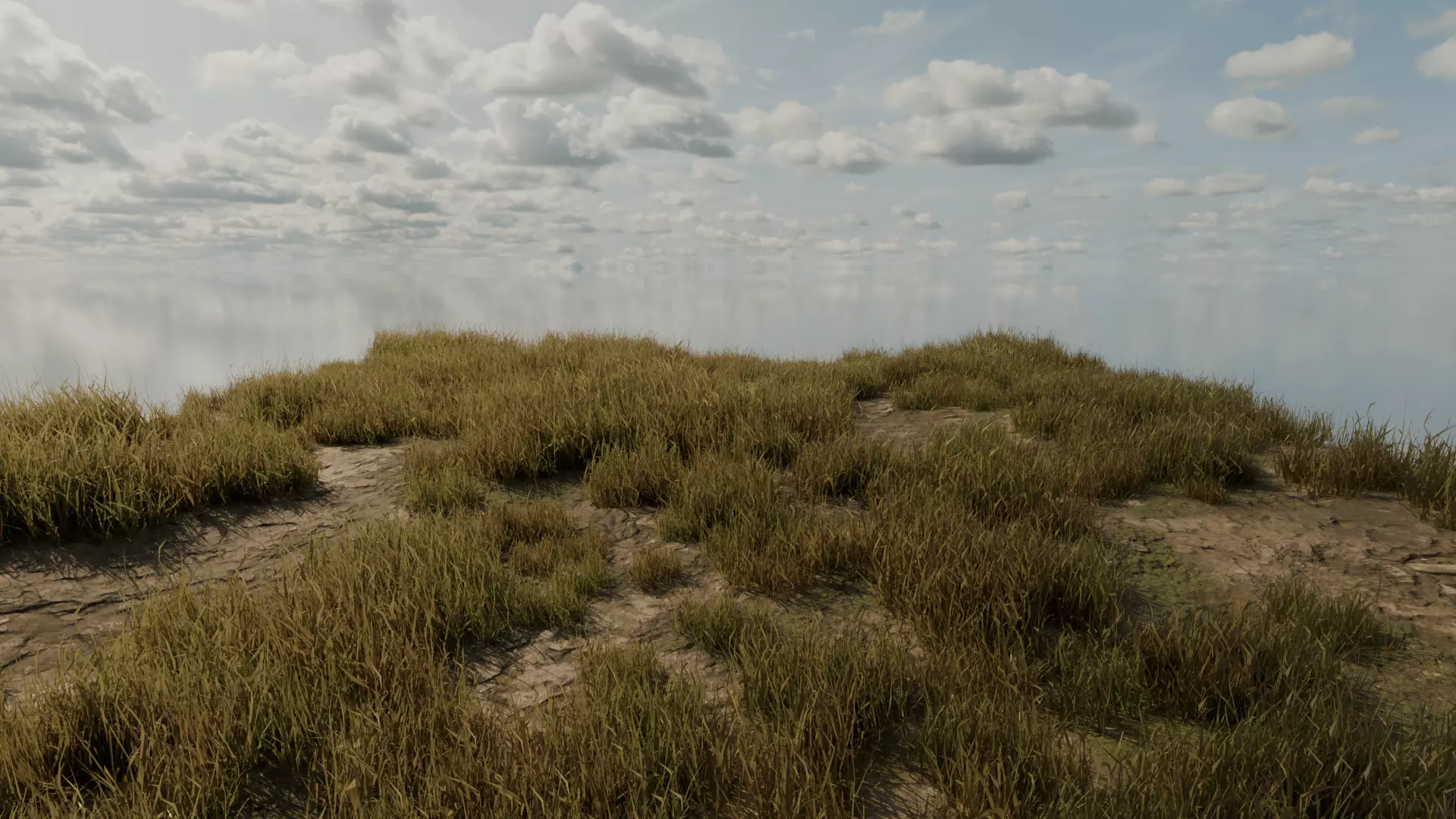 Grass Field Low-poly 3D model_4