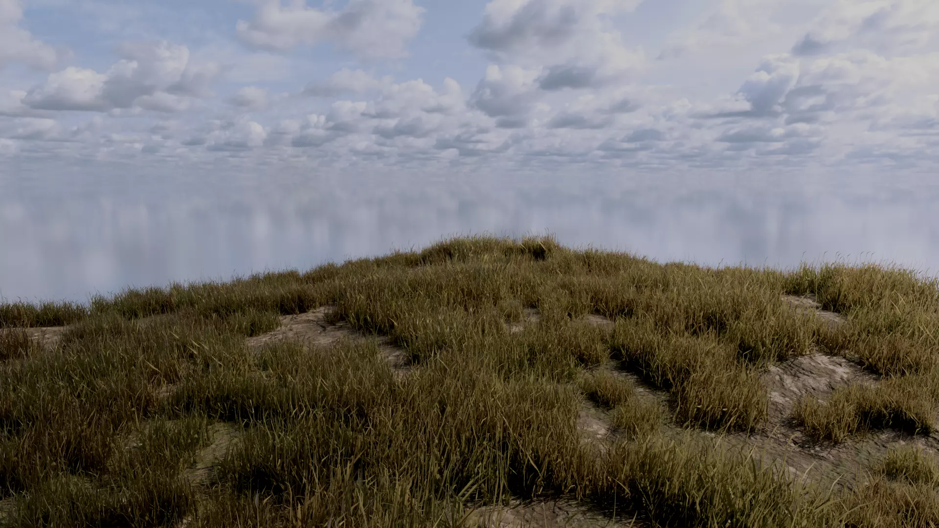 Grass Field Low-poly 3D model_1