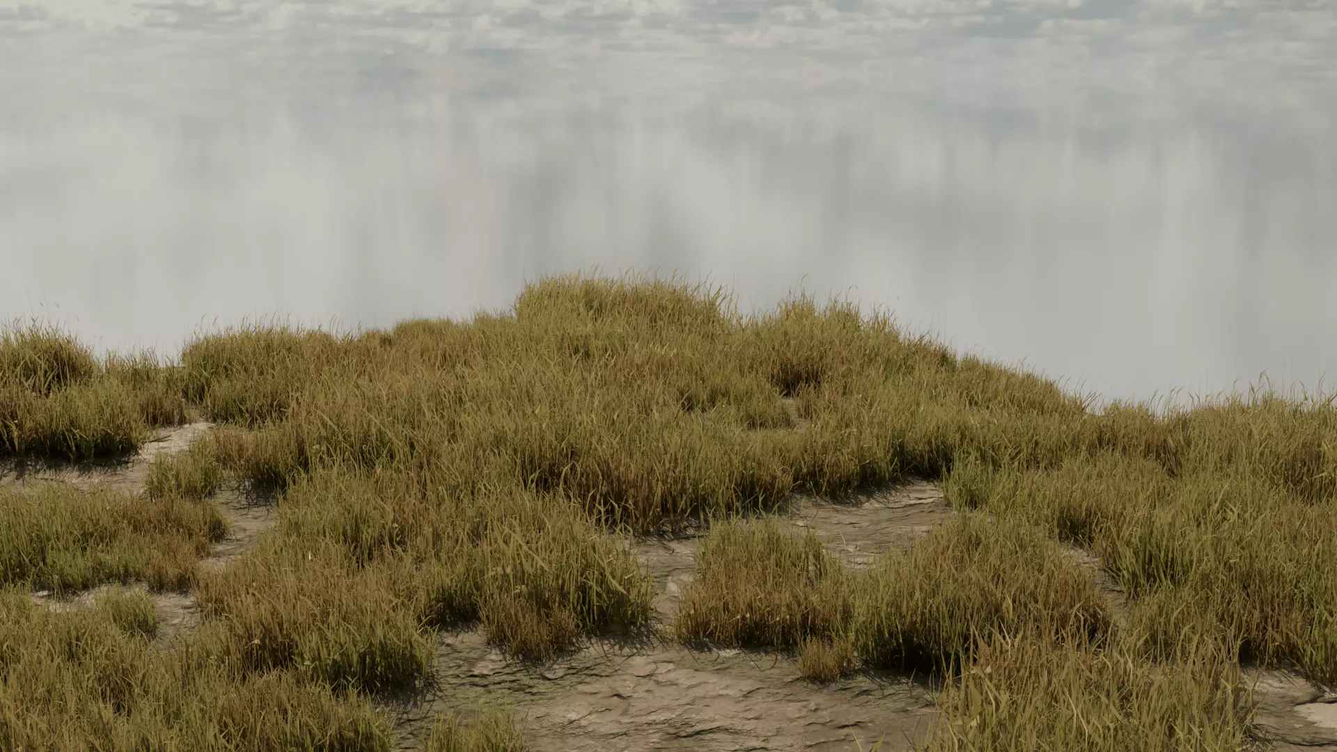 Grass Field Low-poly 3D model_3