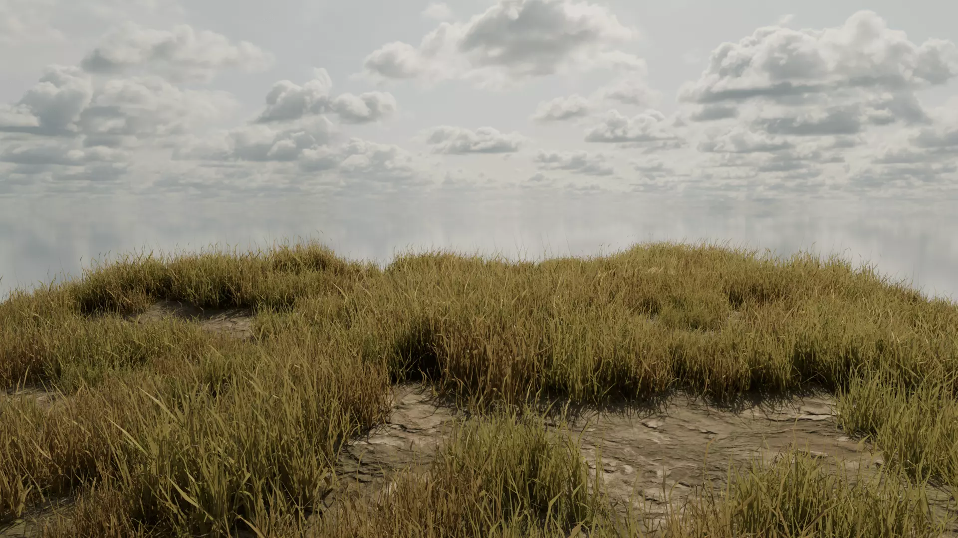 Grass Field Low-poly 3D model_2