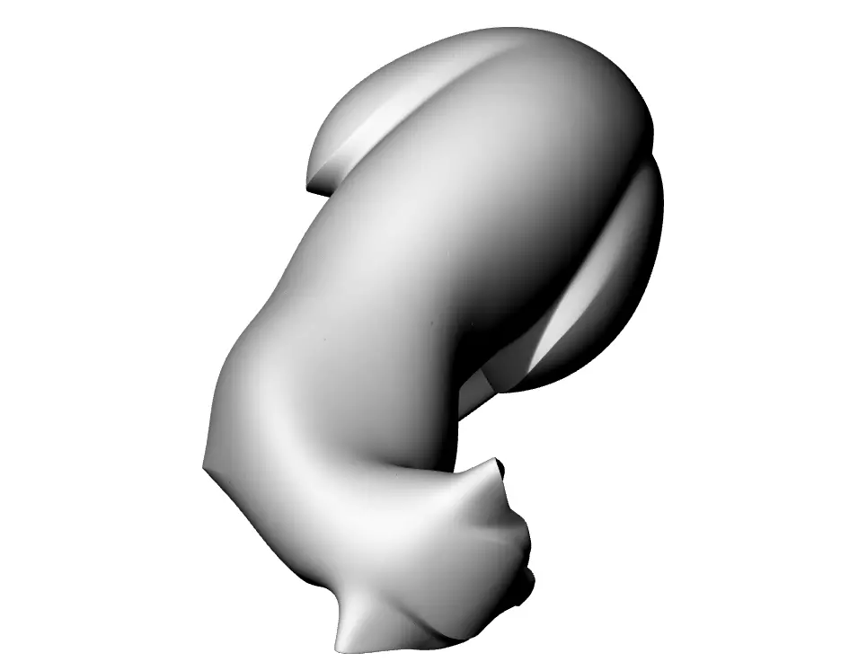 Wild Katze 3D print model_4