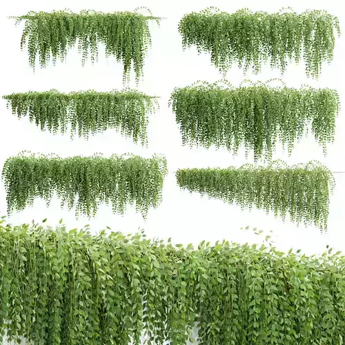 Hanging Wall Creeper Plants Collection Vol 340