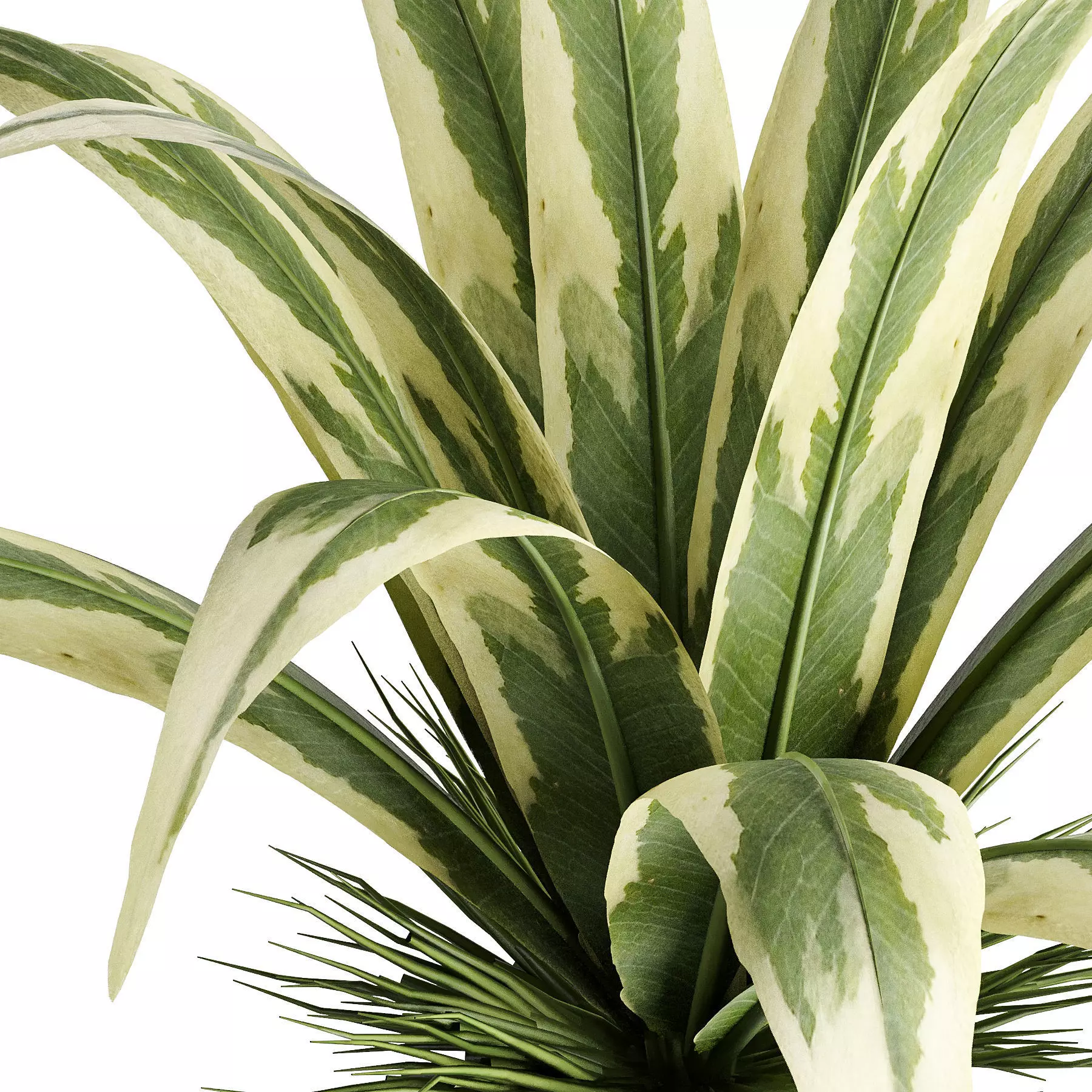 plant 6-2 3D model_0