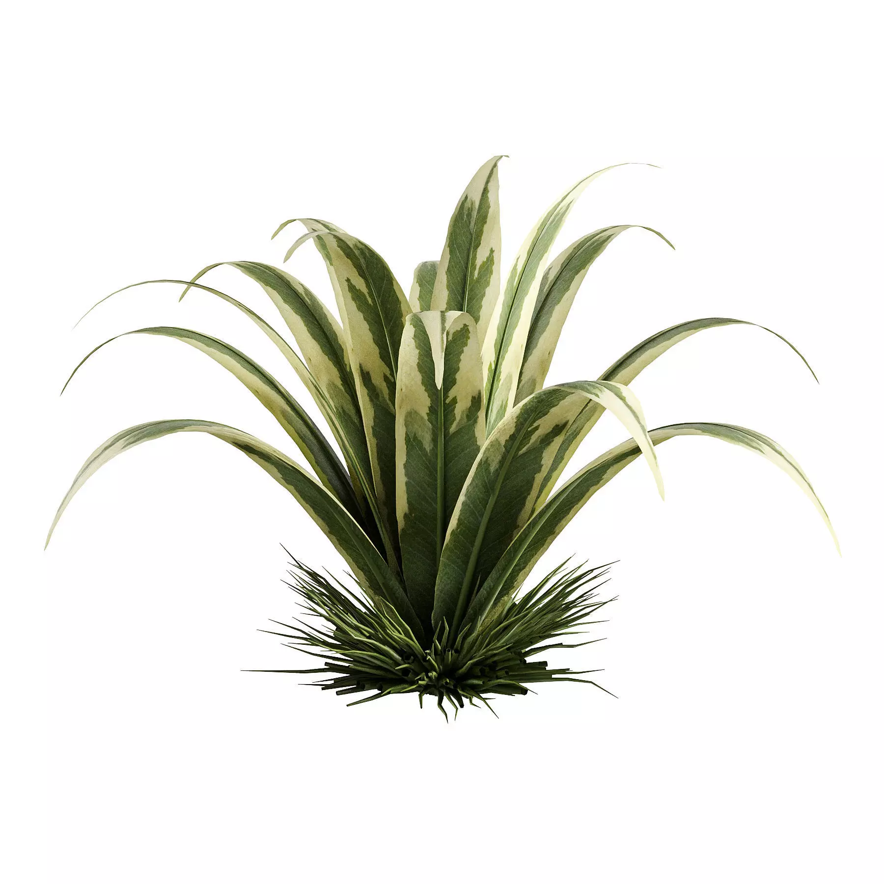 plant 6-2 3D model_1