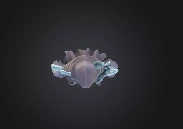 Spectral Wraith Low-poly 3D model_14