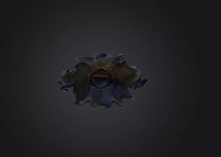 Spectral Wraith Low-poly 3D model_15