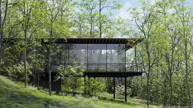 Maxtree Plant Models Vol 174 - Mesh