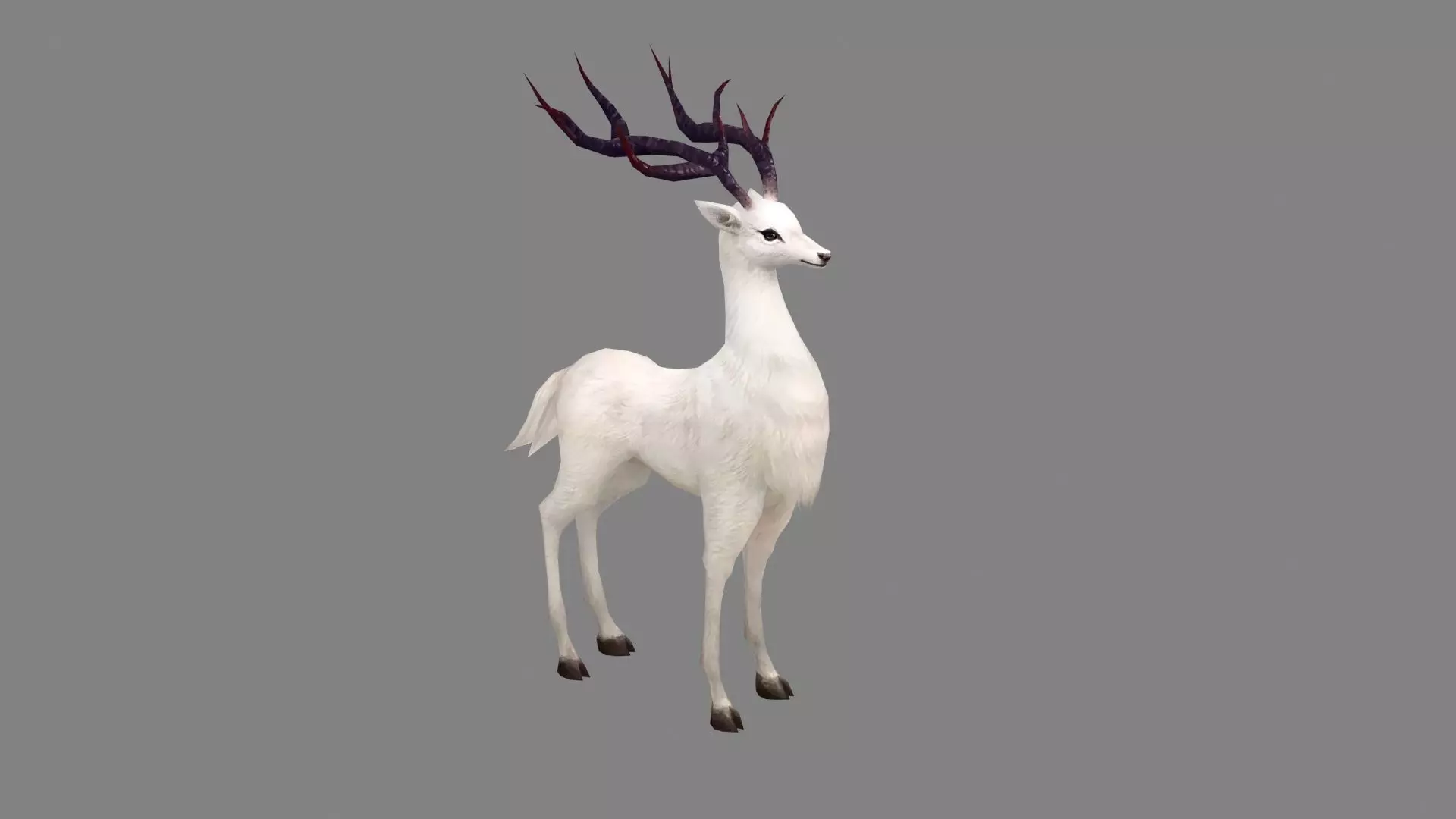 Cartoon White Deer Low-poly 3D model