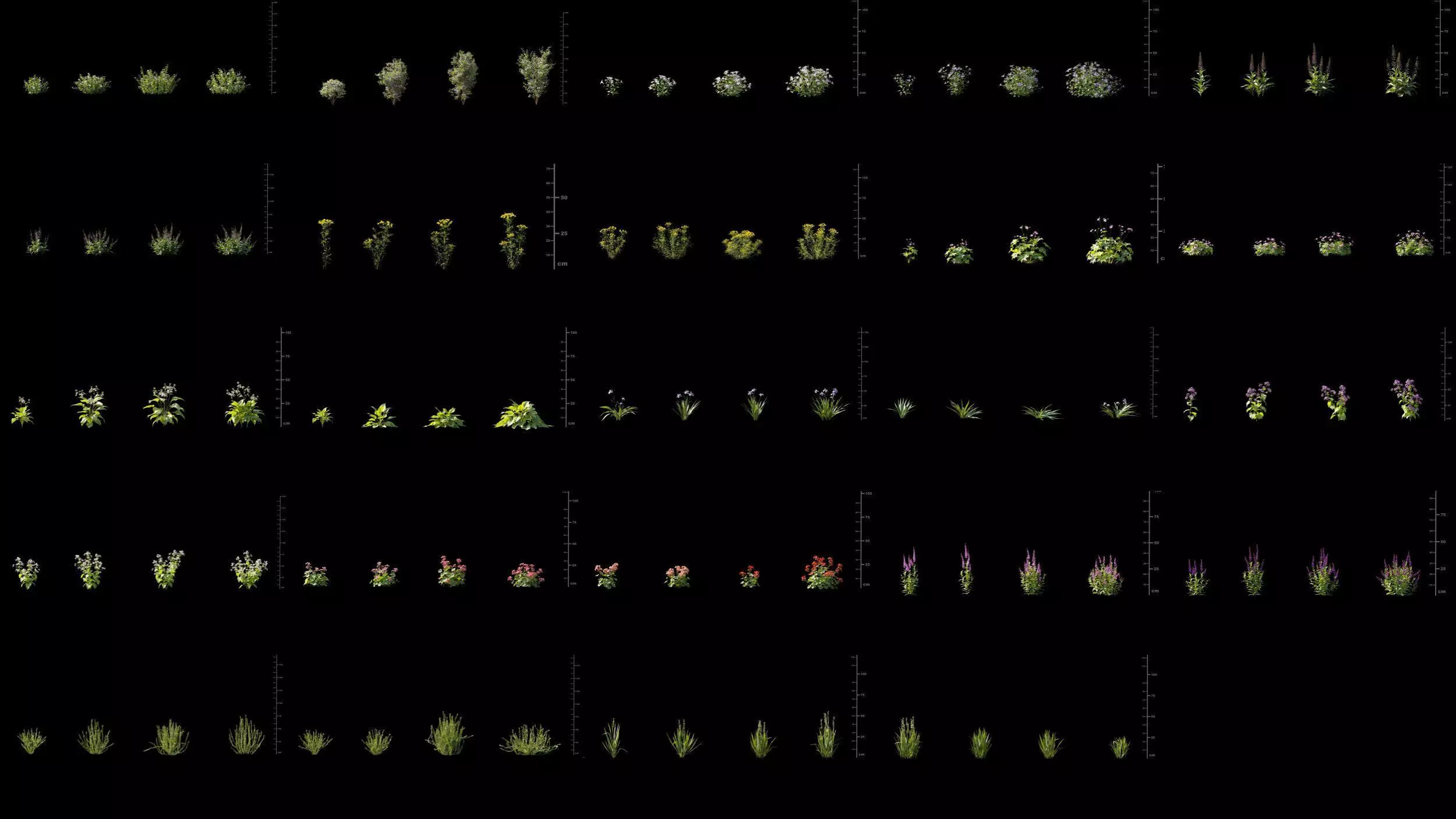 Maxtree Plant Models Vol 175 - Mesh 3D model_4