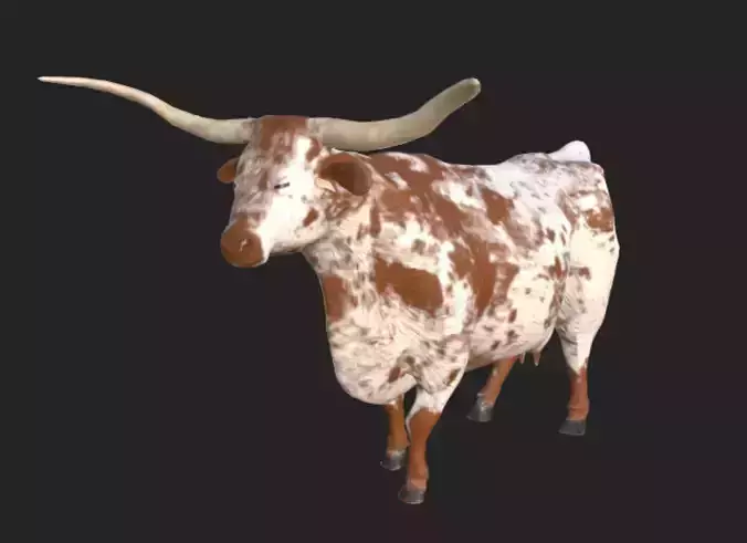 Longhorn