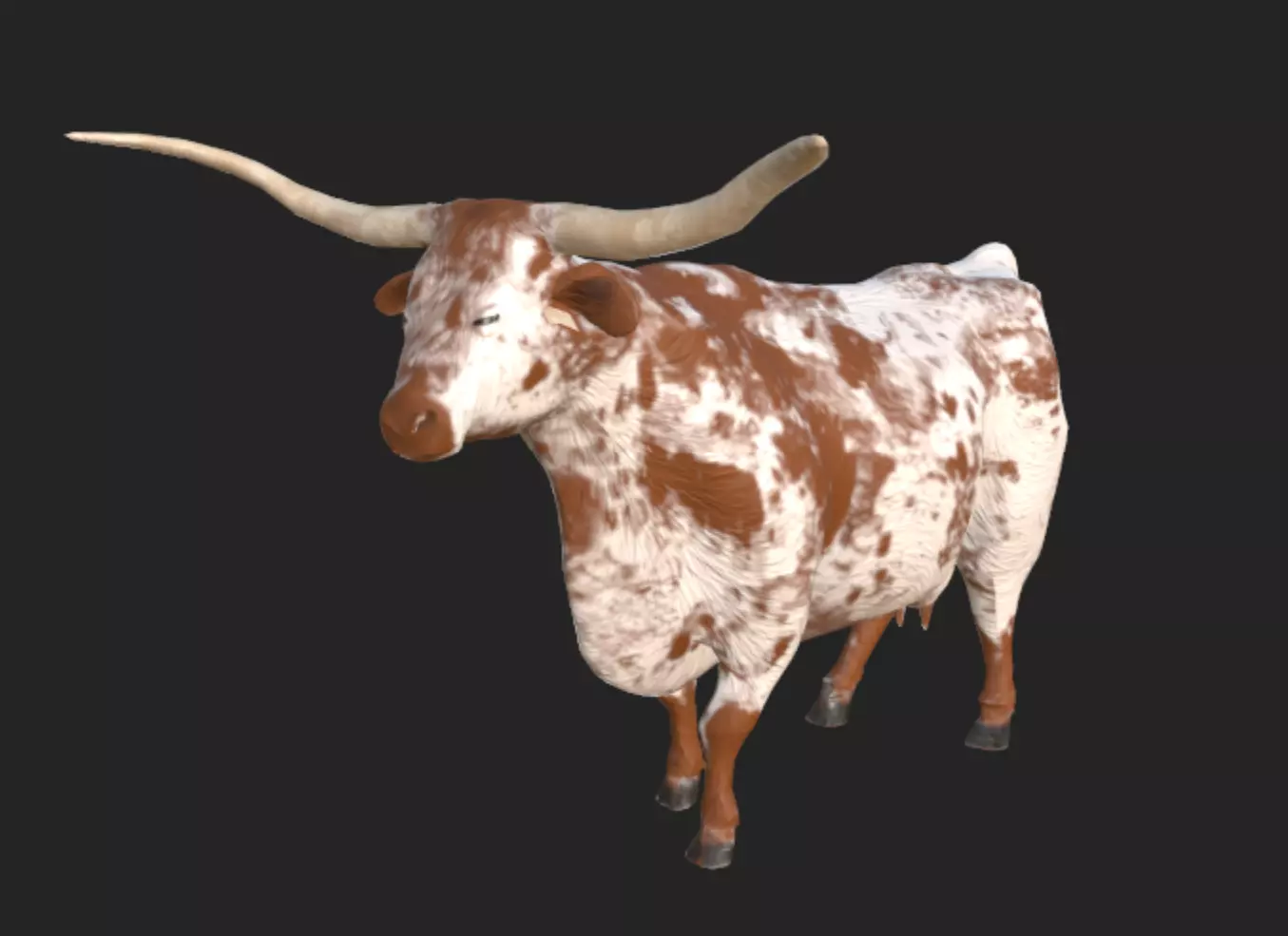 Longhorn Low-poly 3D model_0