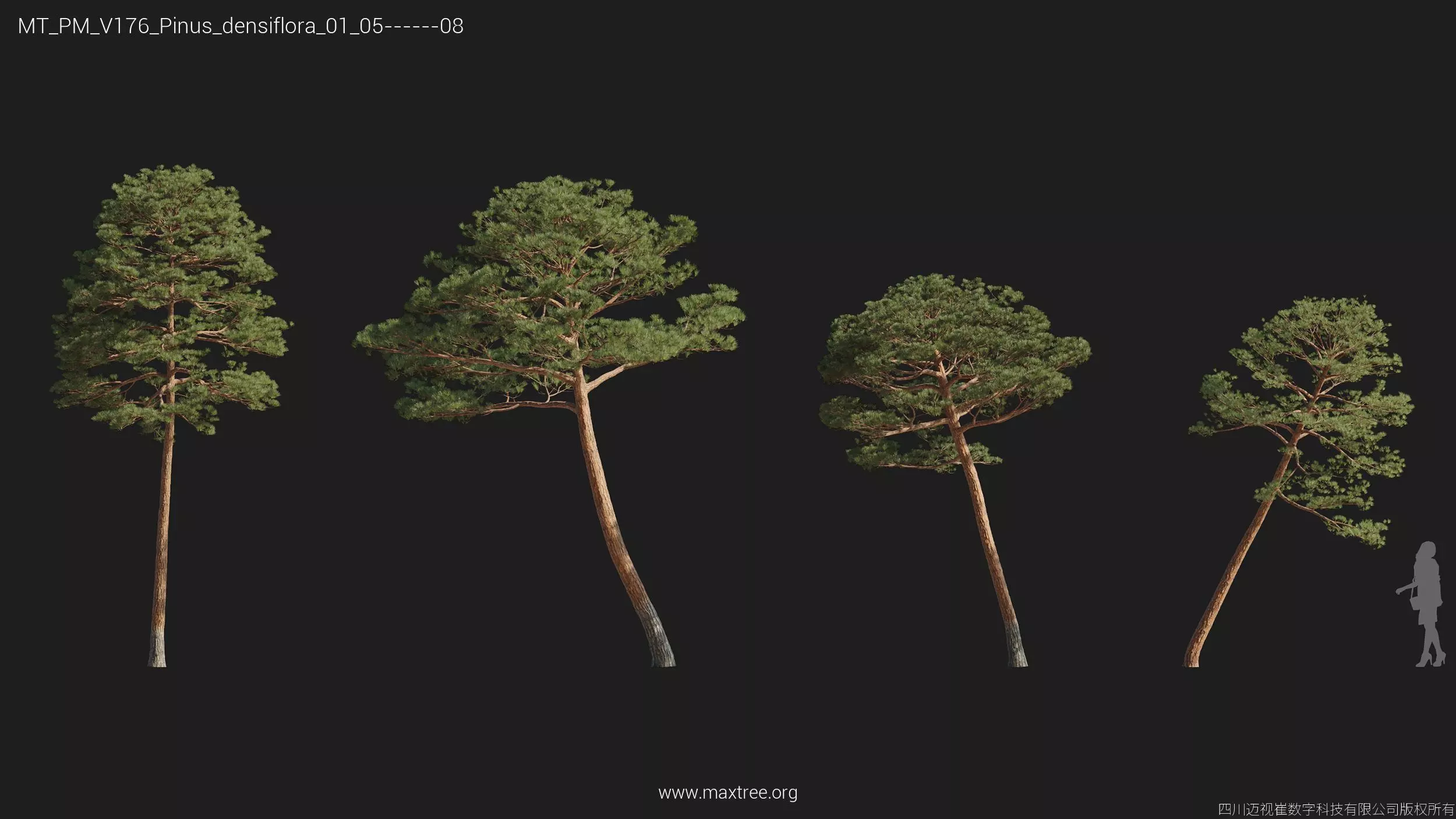 Maxtree Plant Models Vol 176 - Mesh 3D model_39