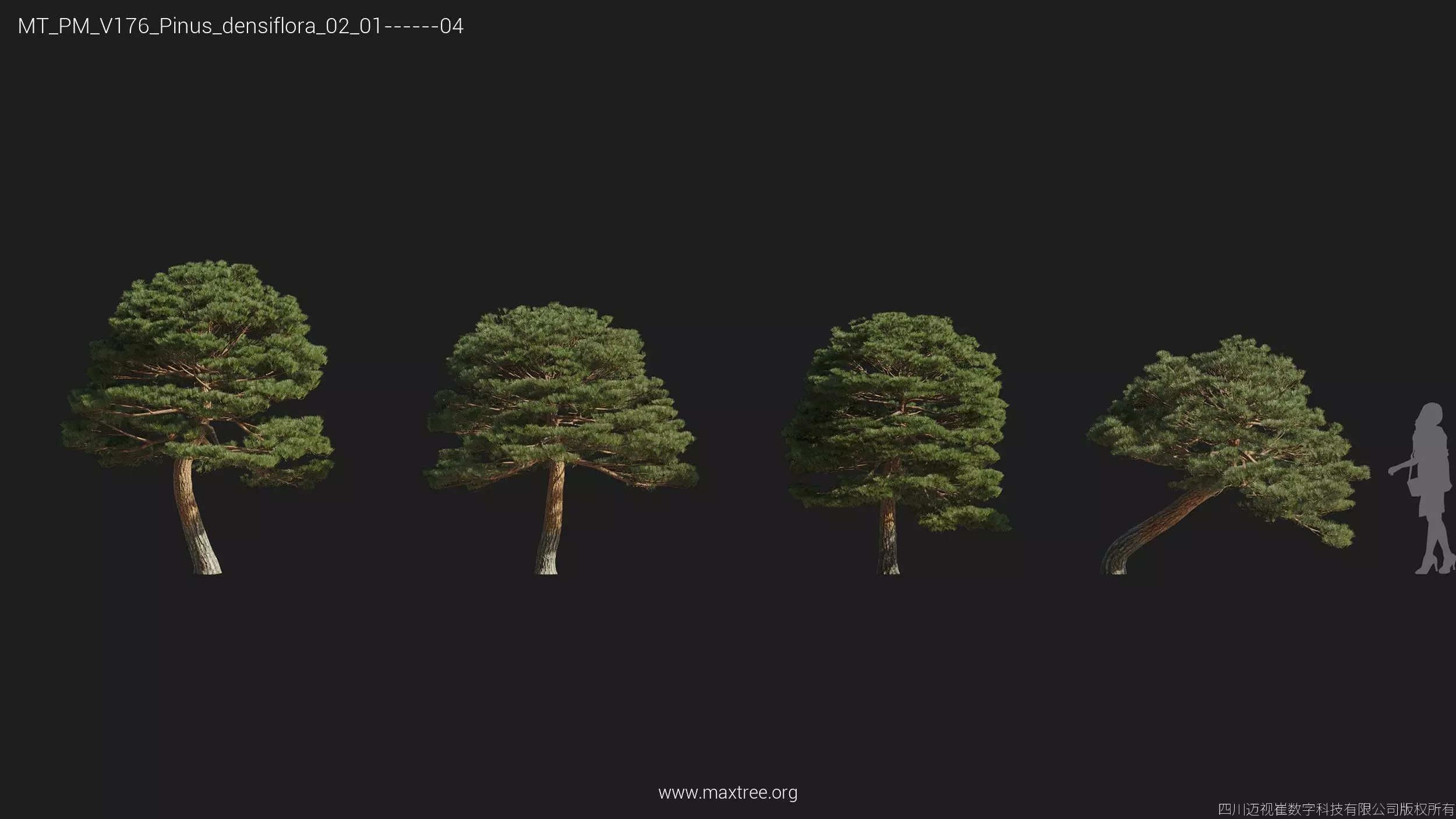 Maxtree Plant Models Vol 176 - Mesh 3D model_25