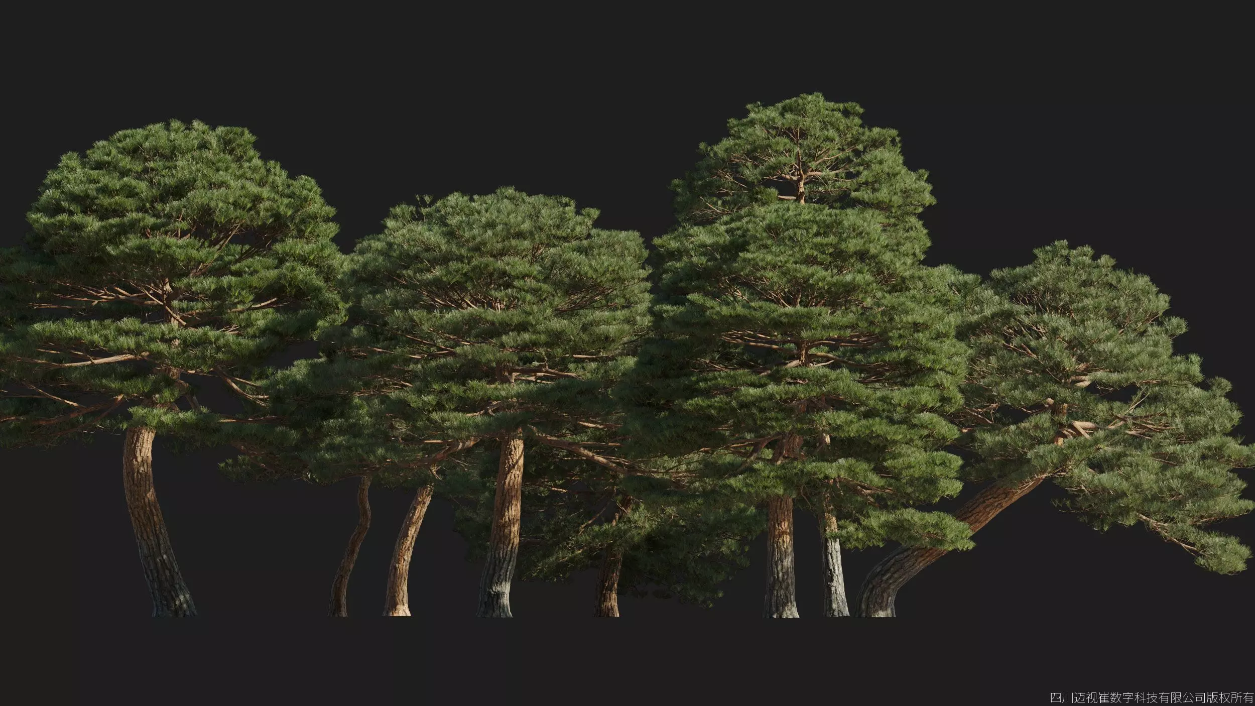 Maxtree Plant Models Vol 176 - Mesh 3D model_2