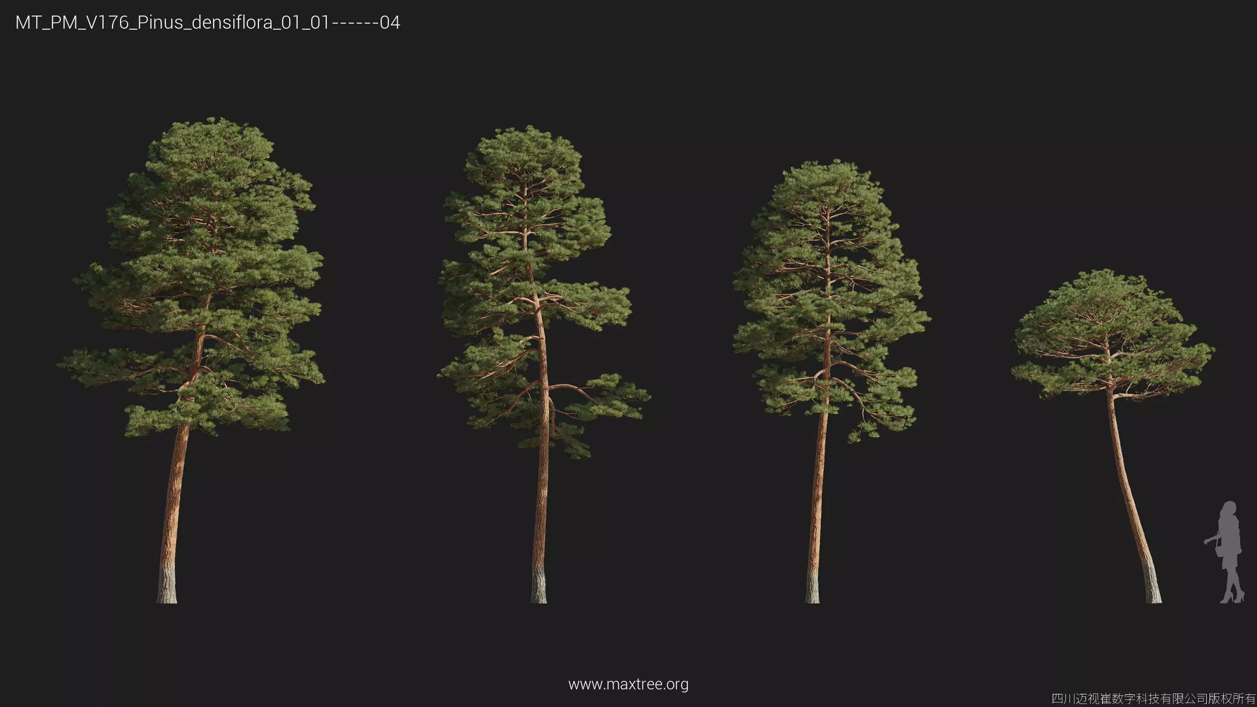 Maxtree Plant Models Vol 176 - Mesh 3D model_36