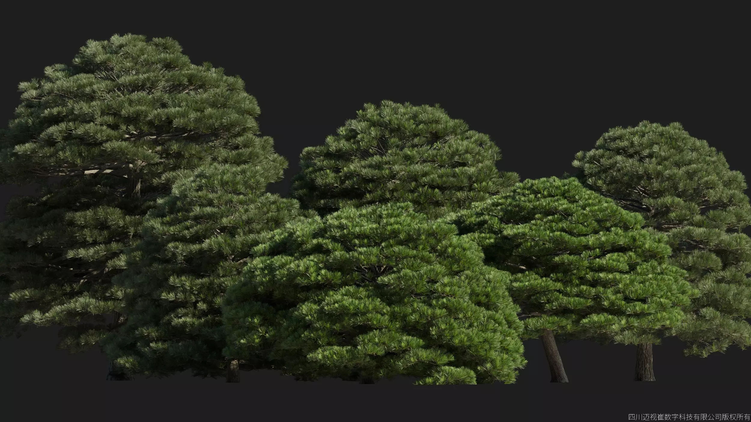 Maxtree Plant Models Vol 176 - Mesh 3D model_3