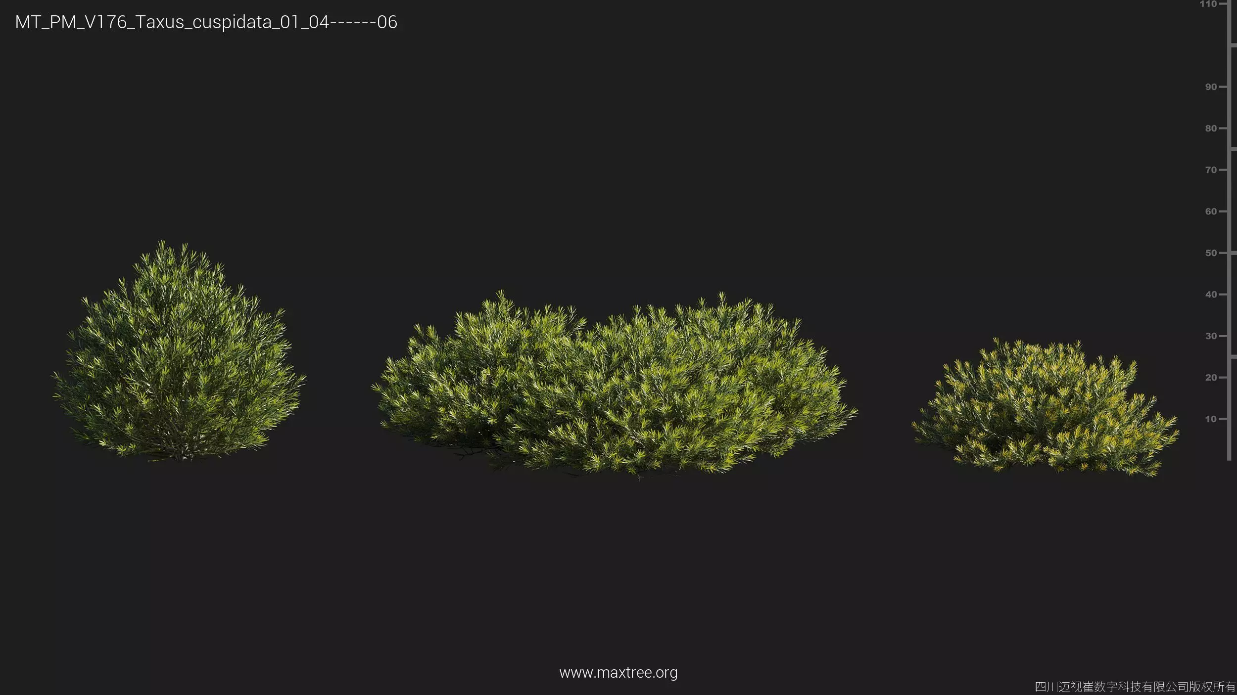 Maxtree Plant Models Vol 176 - Mesh 3D model_20