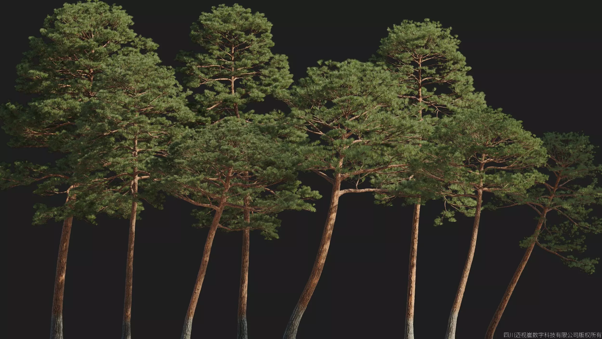 Maxtree Plant Models Vol 176 - Mesh 3D model_4