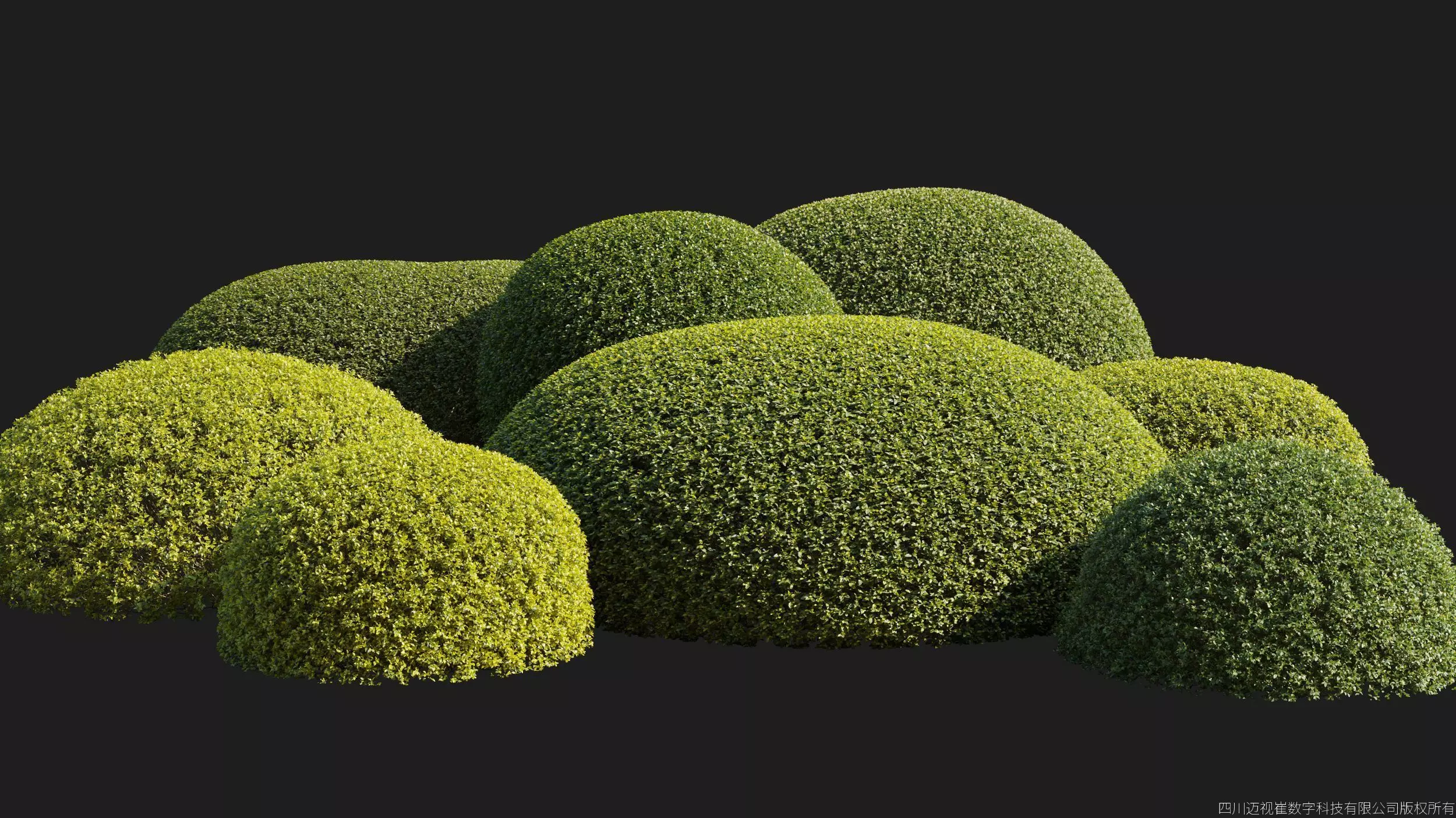 Maxtree Plant Models Vol 176 - Mesh 3D model_1