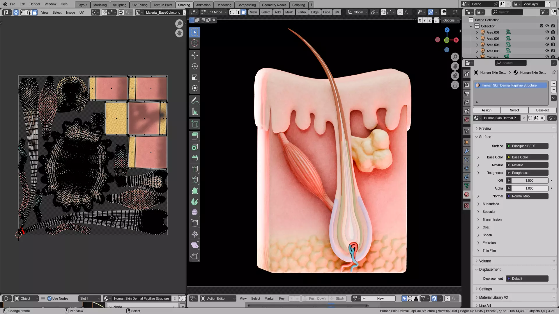 Human Skin Dermal Papillae Structure Low-poly 3D model_7