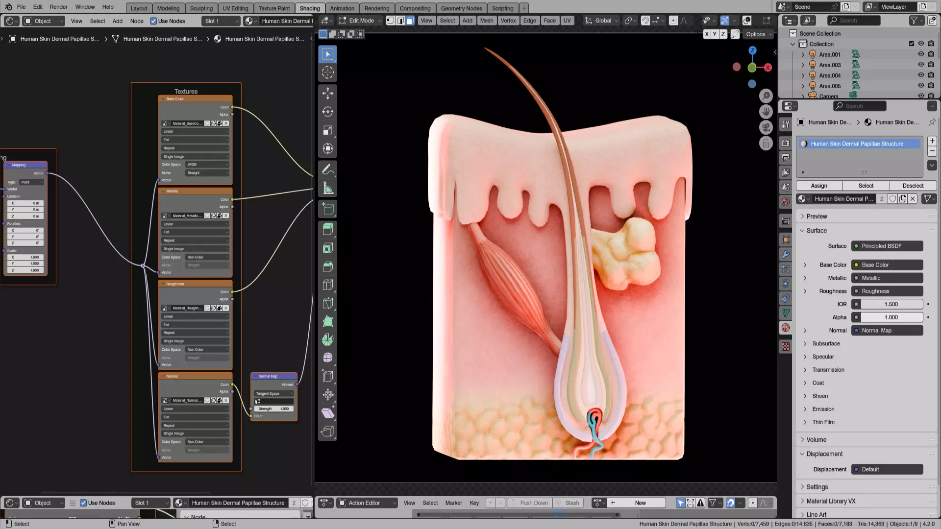 Human Skin Dermal Papillae Structure Low-poly 3D model_6