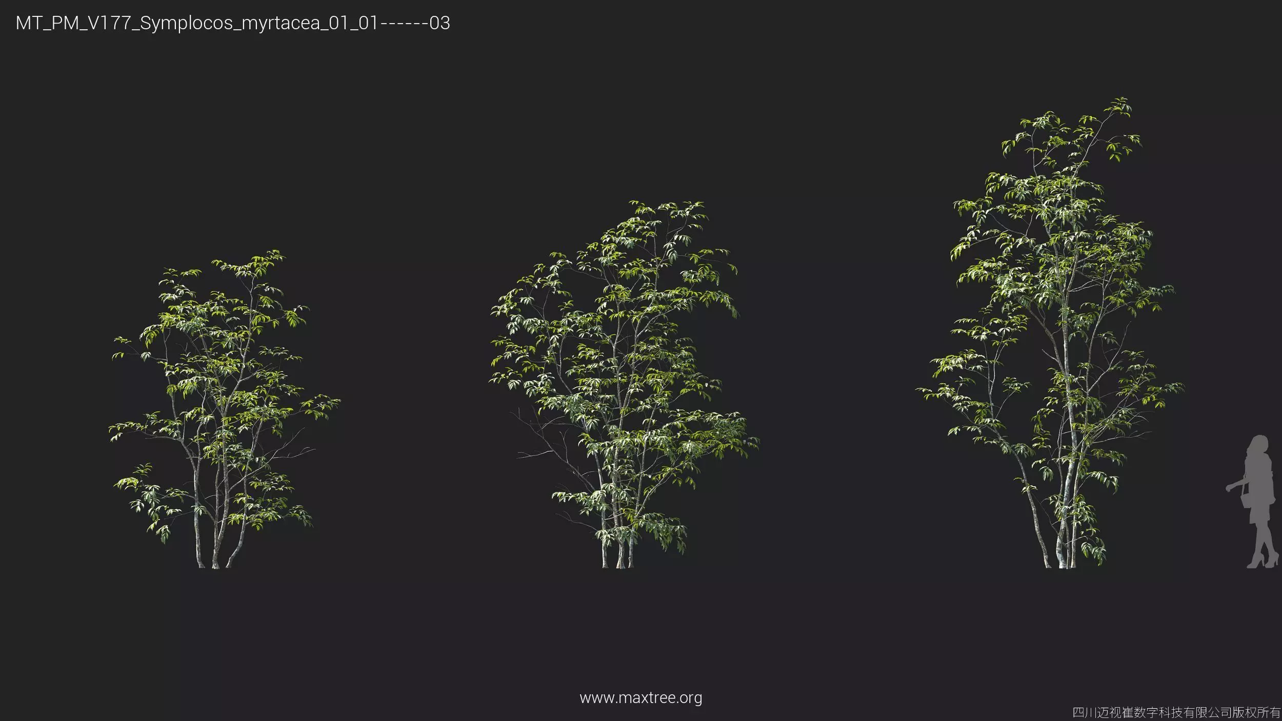 Maxtree Plant Models Vol 177 - Mesh 3D model_35