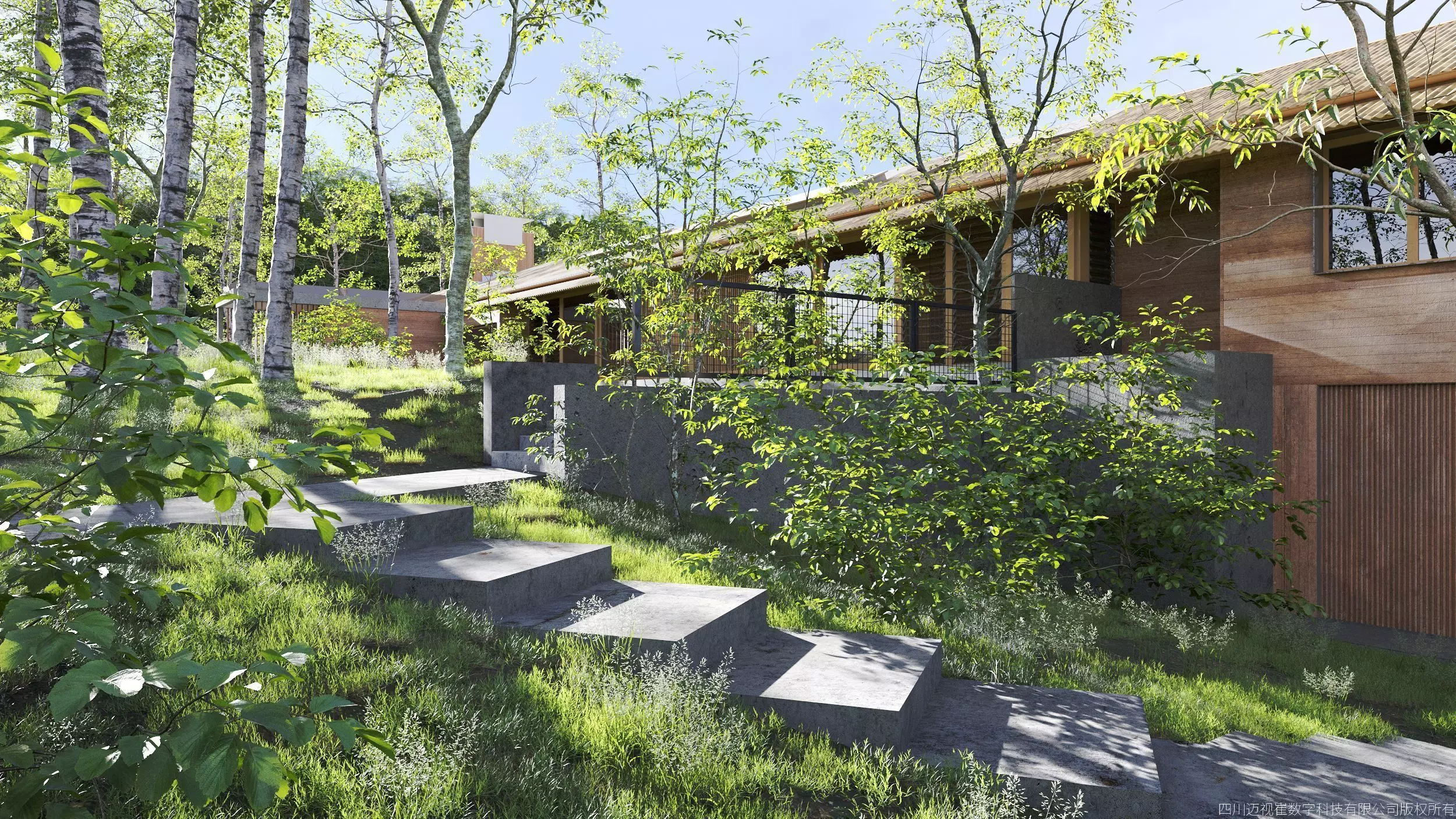 Maxtree Plant Models Vol 177 - Mesh 3D model_2