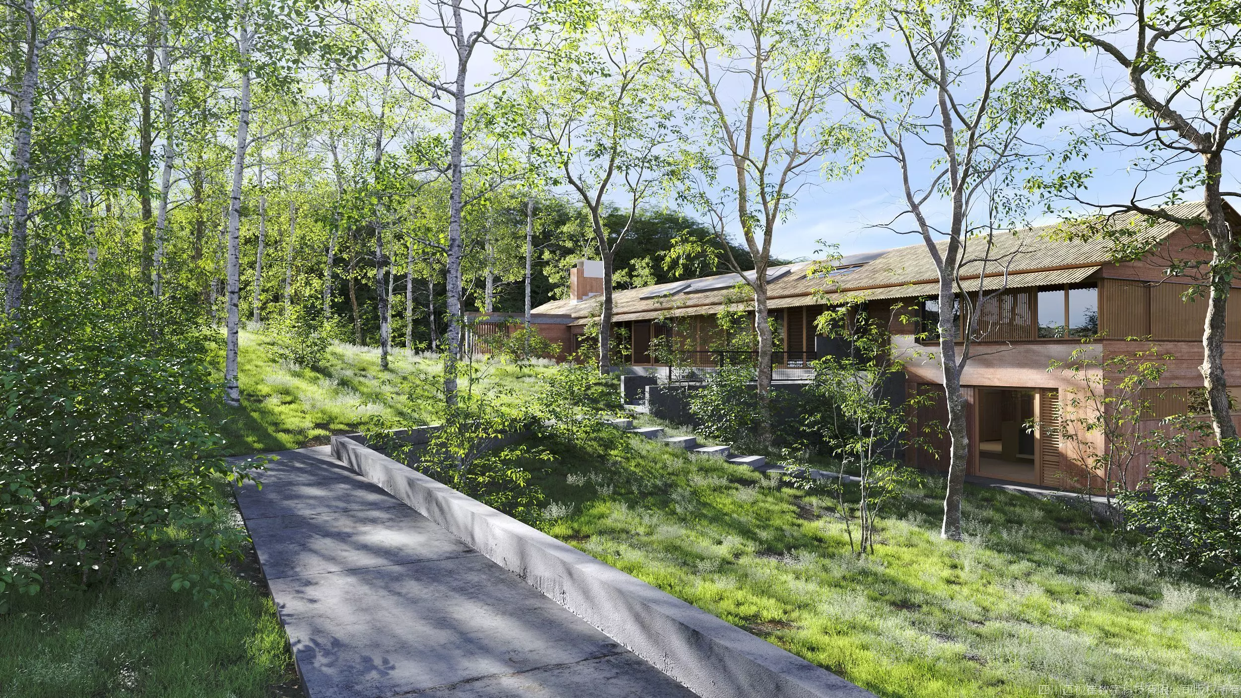 Maxtree Plant Models Vol 177 - Mesh 3D model_1