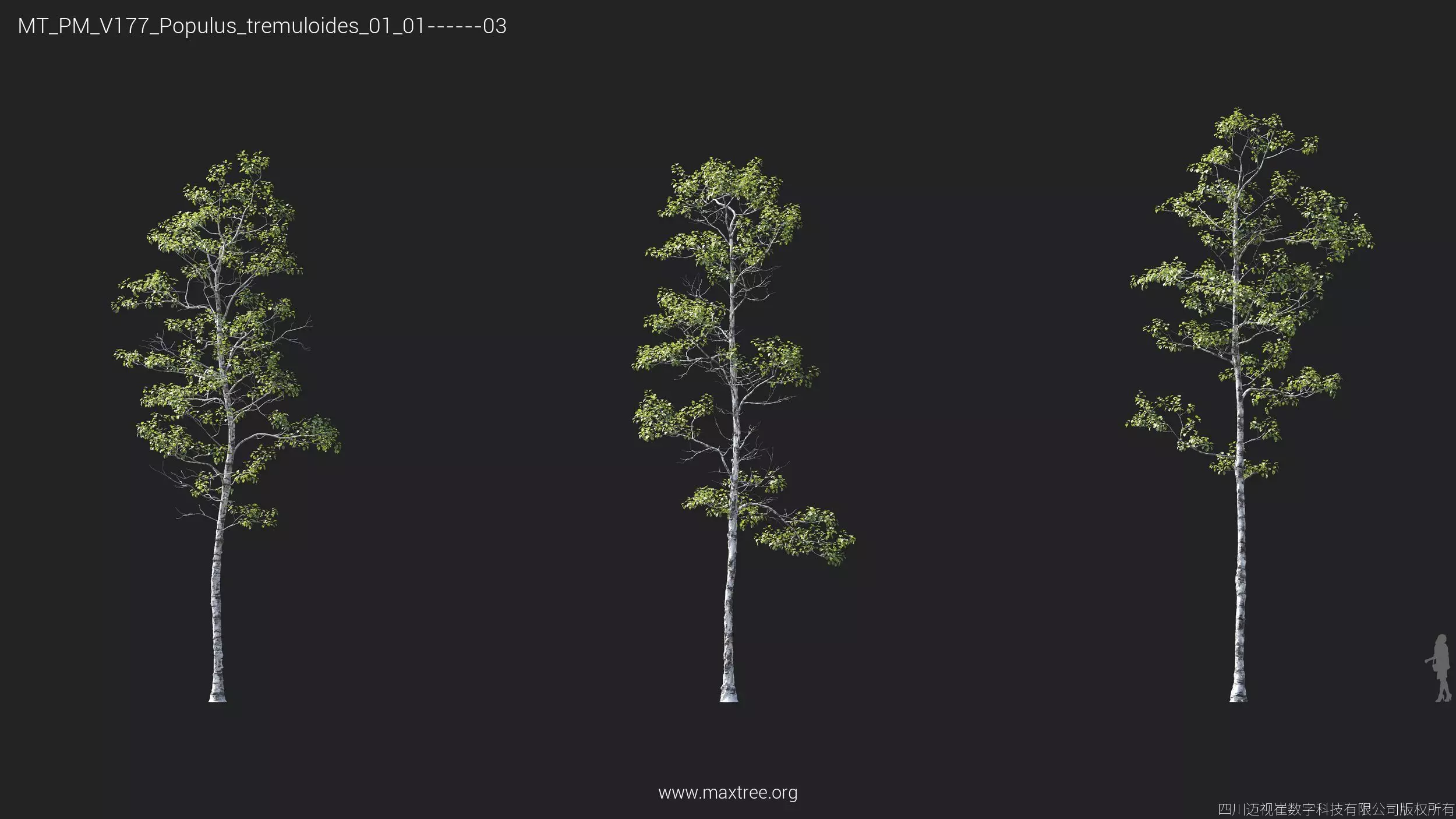 Maxtree Plant Models Vol 177 - Mesh 3D model_32
