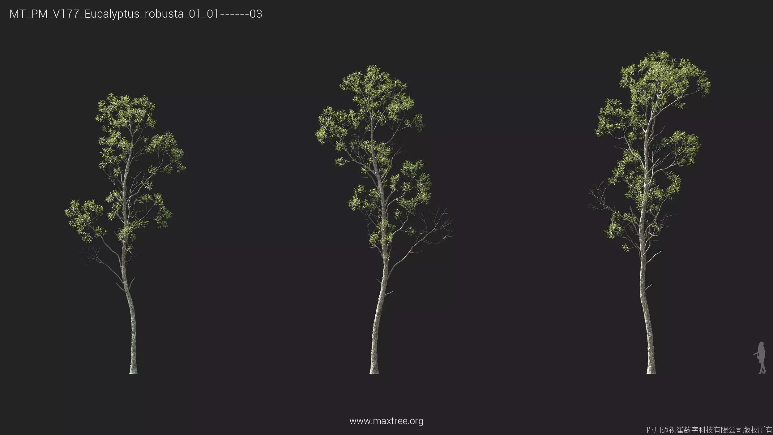 Maxtree Plant Models Vol 177 - Mesh 3D model_17
