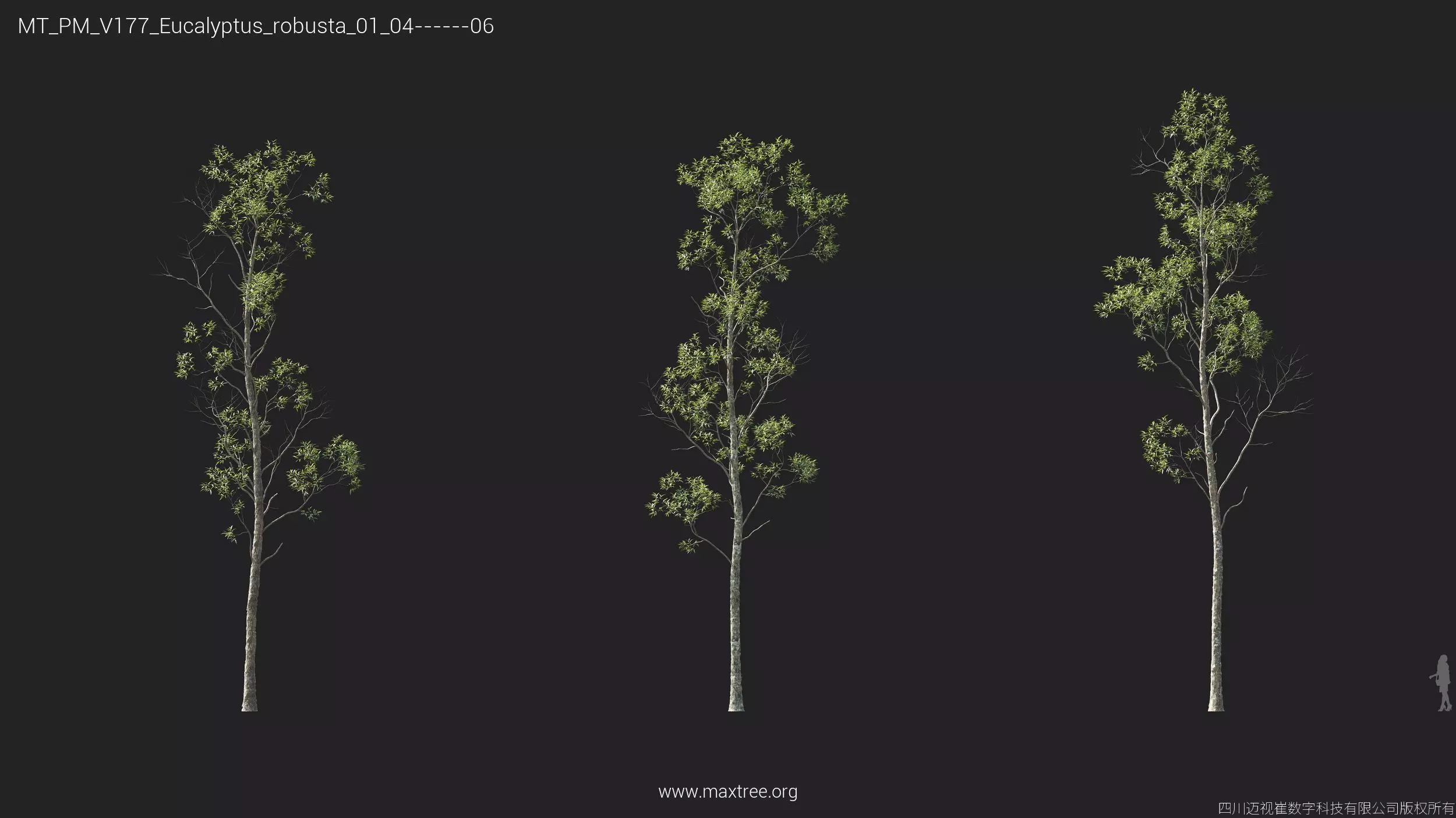 Maxtree Plant Models Vol 177 - Mesh 3D model_18