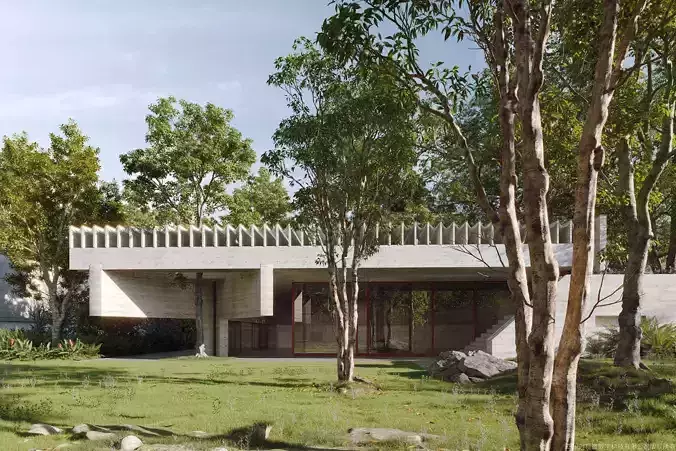 Maxtree Plant Models Vol 178 - Mesh