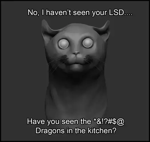 Crazy Cat 3D print model
