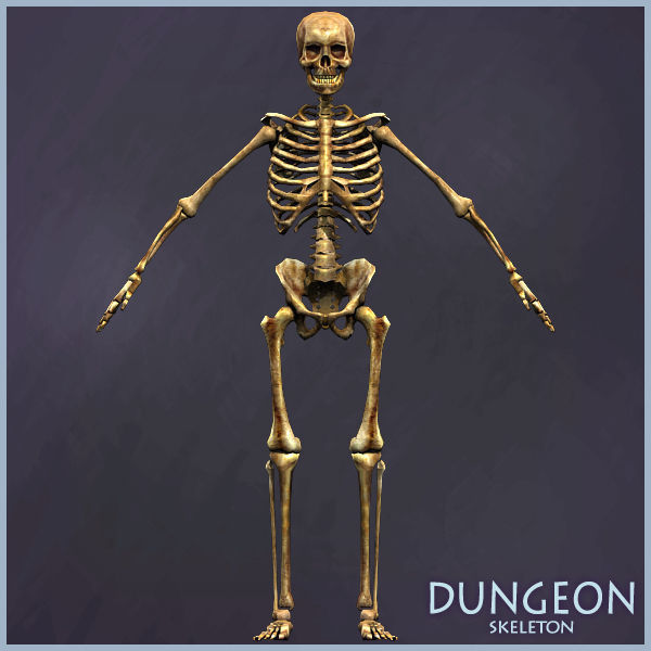 ARMY OF SKELETONS Low-poly 3D model_10