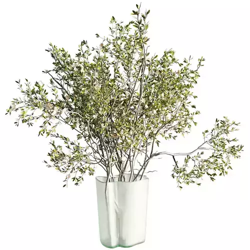 Flowering branches in a Frosted glass vase - Bouquet 82 
