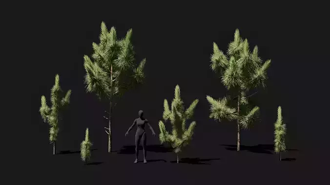 Longleaf pine saplings and young trees